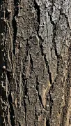 textures