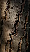 textures