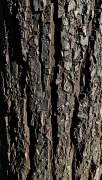 textures