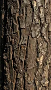 textures