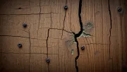 textures