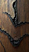 textures