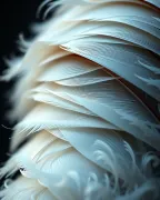 textures