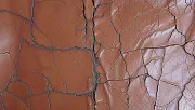 textures