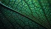 textures