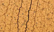 textures