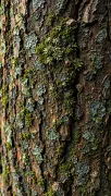 textures