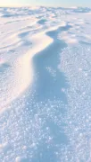 textures