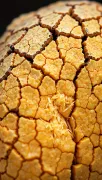 textures