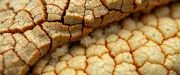 textures