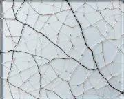 textures