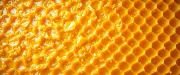 textures