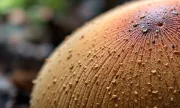 textures