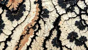 textures
