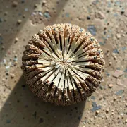 textures