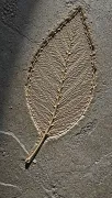 textures