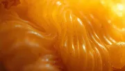 textures