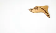 woodmj1